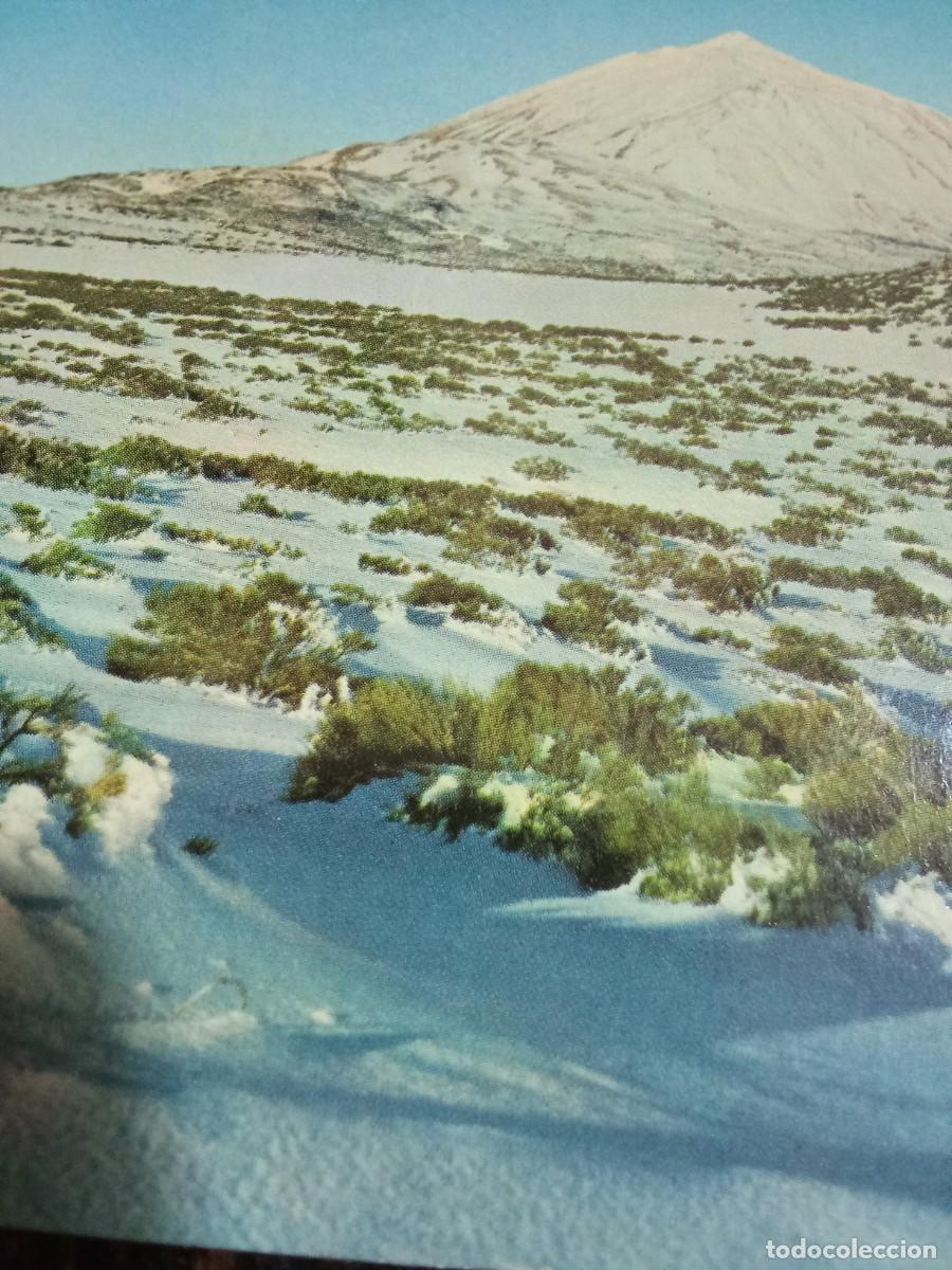 Postales: Tenerife.Bananas y el Teide. - Foto 3