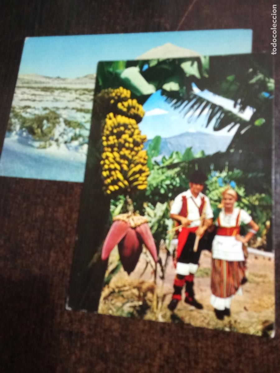 Postales: Tenerife.Bananas y el Teide. - Foto 1