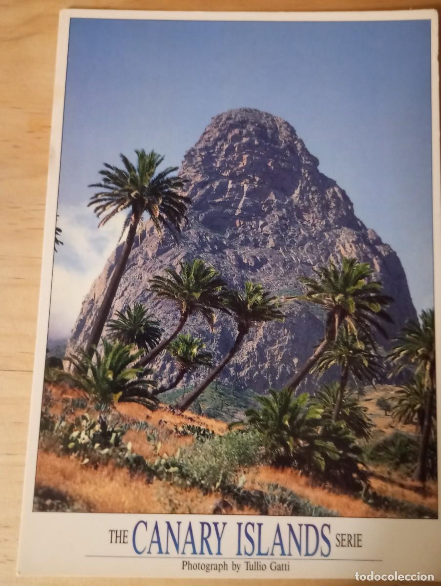 Postales: POSTAL ROQUE DE AGANDO, CANARIAS, SIN CIRCULAR - Foto 1