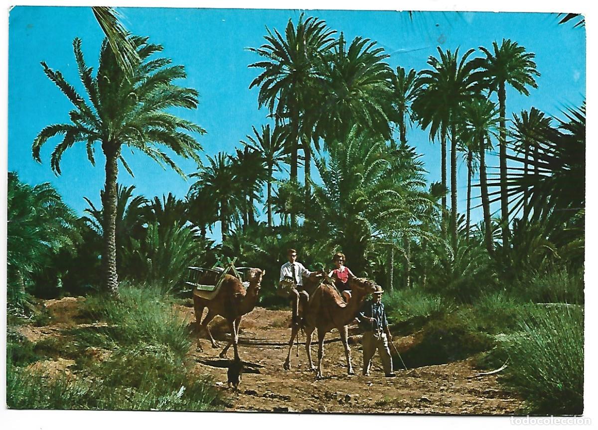 Postales: OASIS EN MASPALOMAS.- GRAN CANARIA - Foto 1