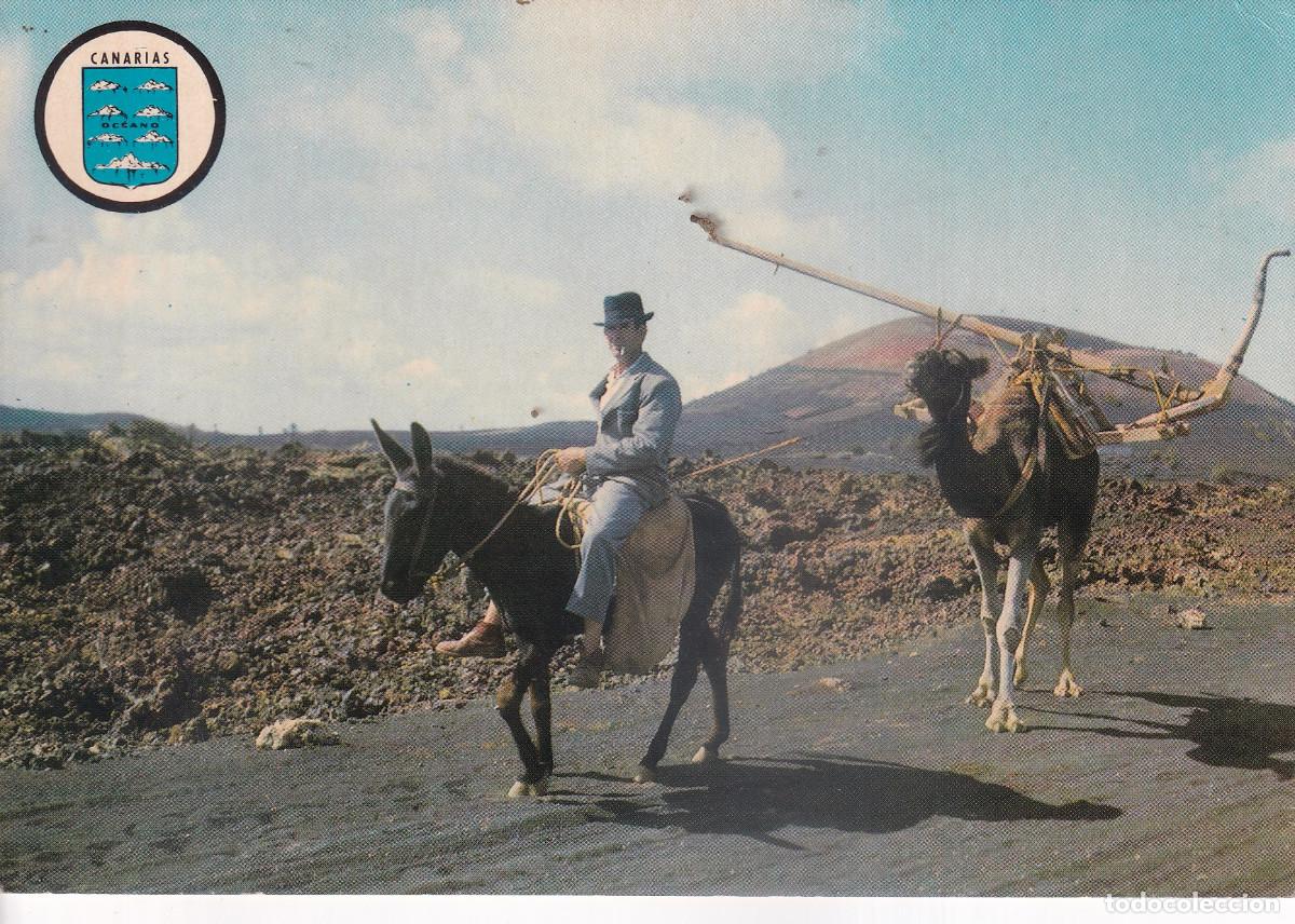 Postales: CANARIAS TIPICA ESCENA LANZAROTE - Foto 1
