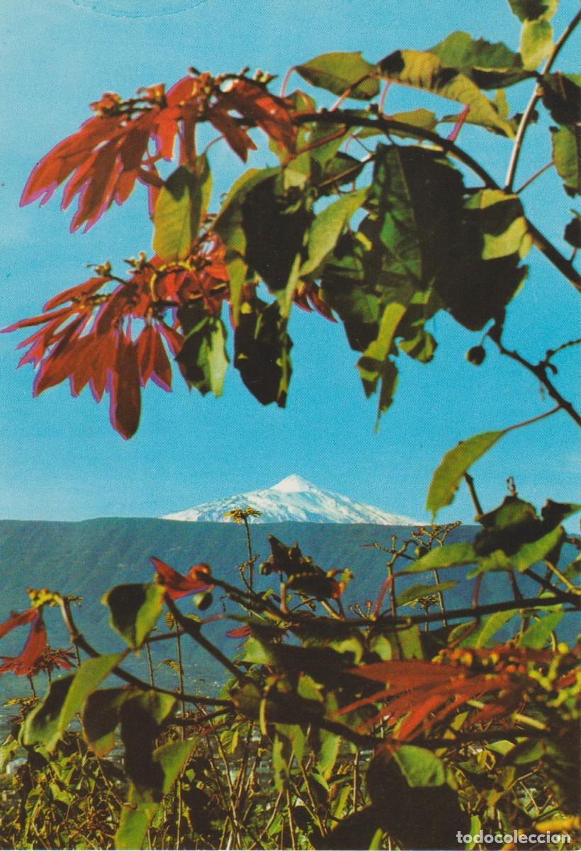 Postales: (320) TENERIFE. EL VOLCAN TEIDE ... SIN CIRCULAR - Foto 1