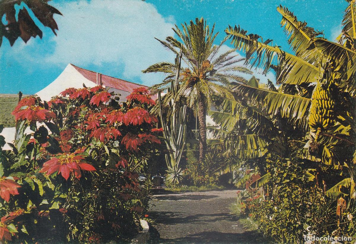 Postales: GRAN CANARIA PAISAJE - Foto 1