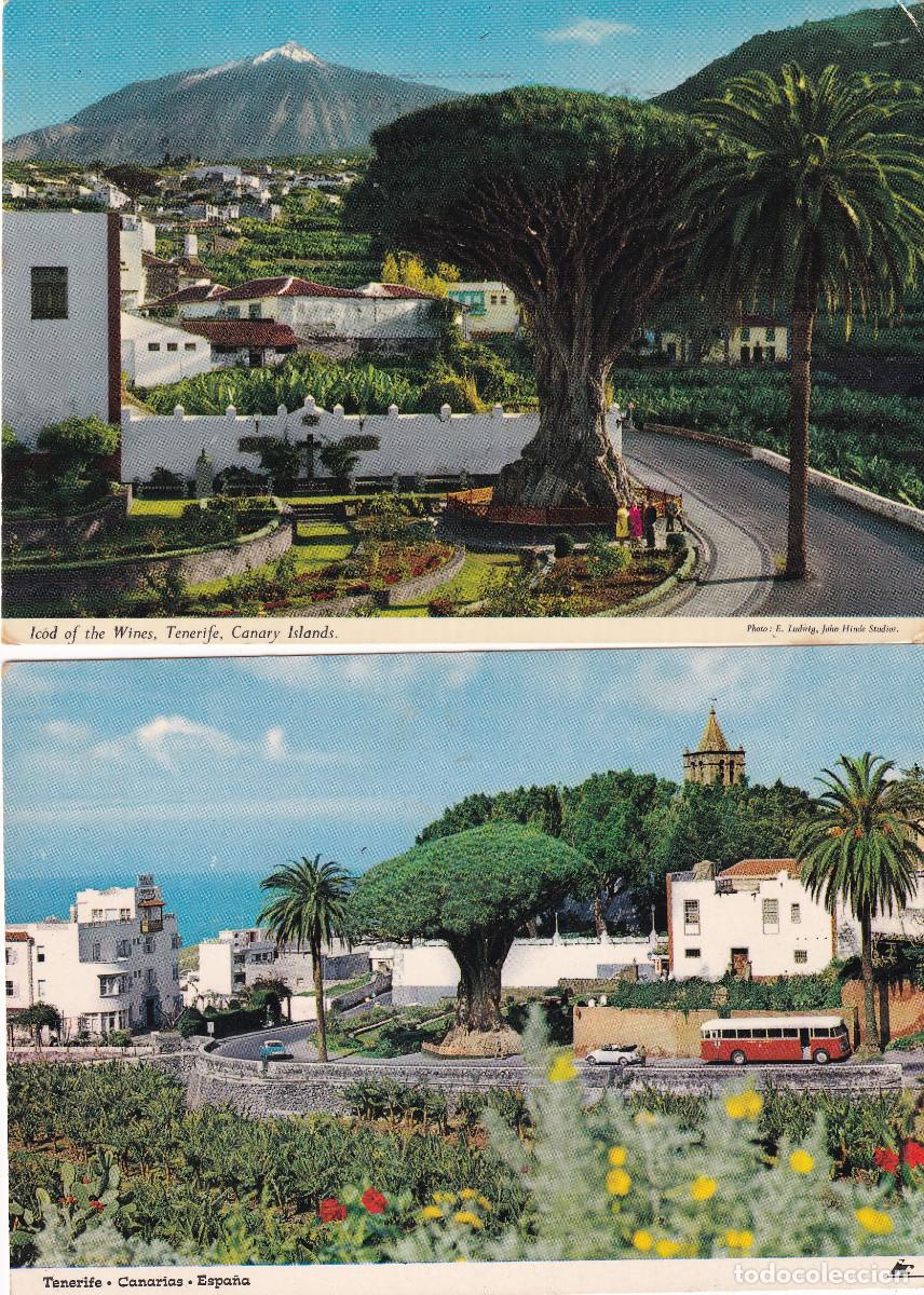 Postales: TENIFE ICOD DE LOS VINOS - Foto 1