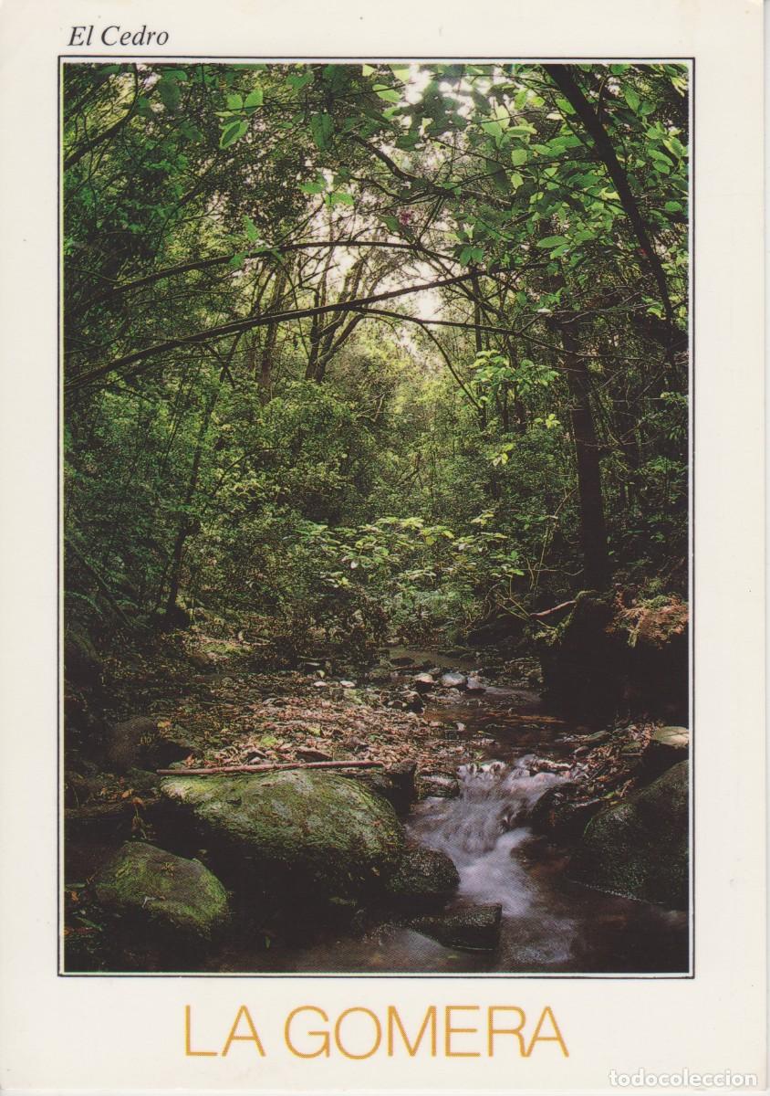 Postales: (12) LA GOMERA. EL CEDRO - Foto 1