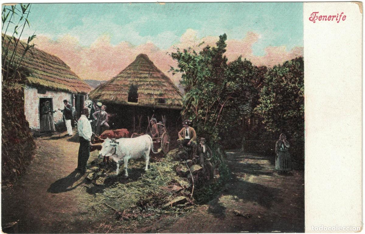 Postales: TARJETA POSTAL - TENERIFE - Foto 1