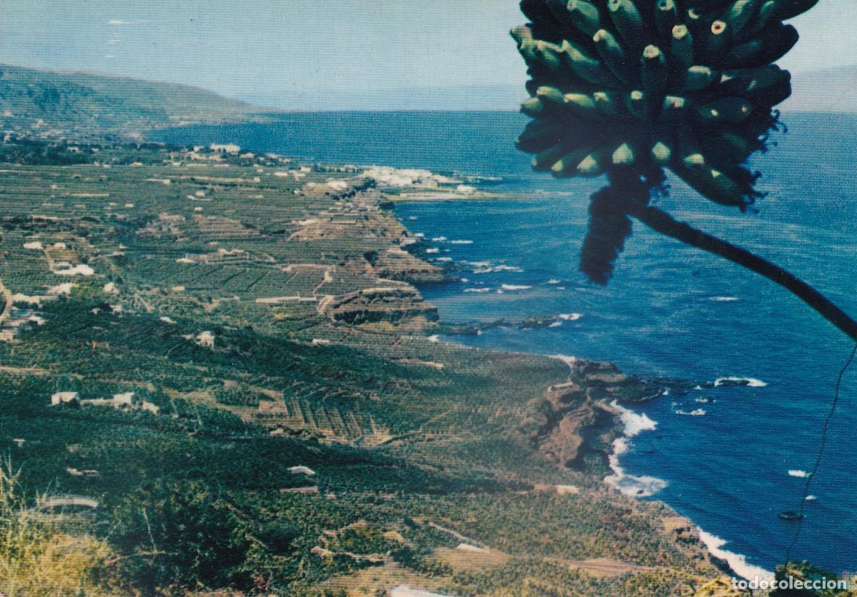 Postales: TENERIFE COSTA NORTE - Foto 1