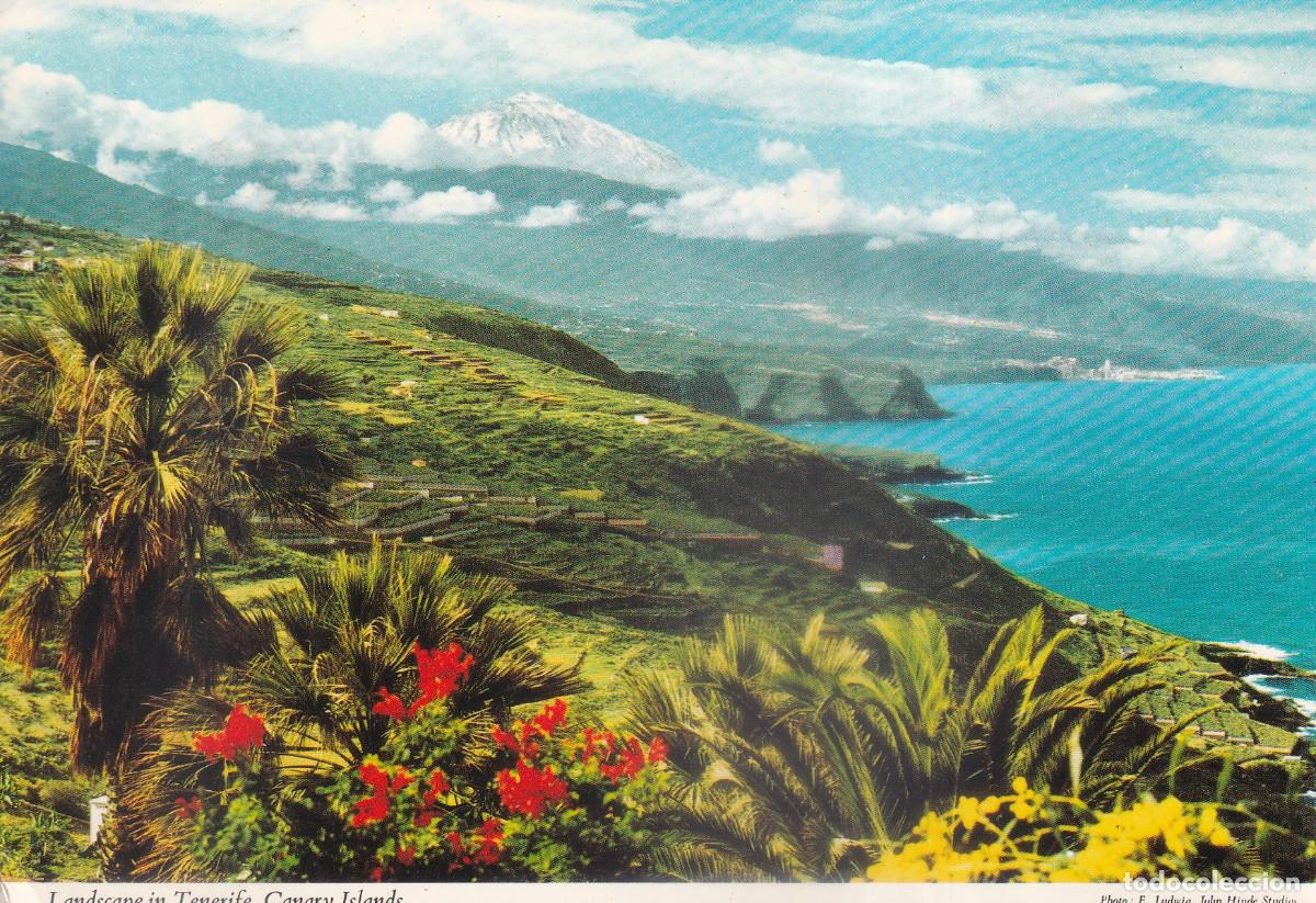 Postales: TENERIFE COSTA NORTE - Foto 1
