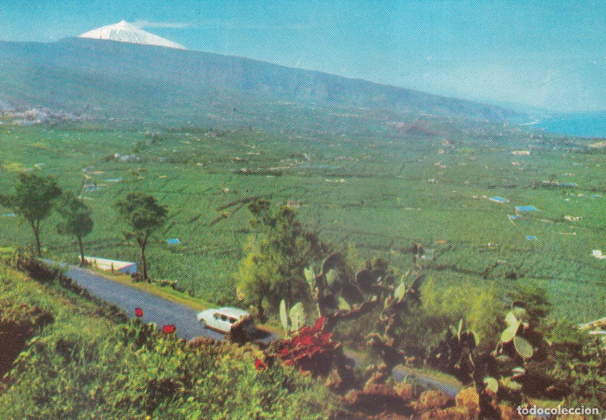 Postales: TENERIFE VALLE DE LA OROTAVA - Foto 1