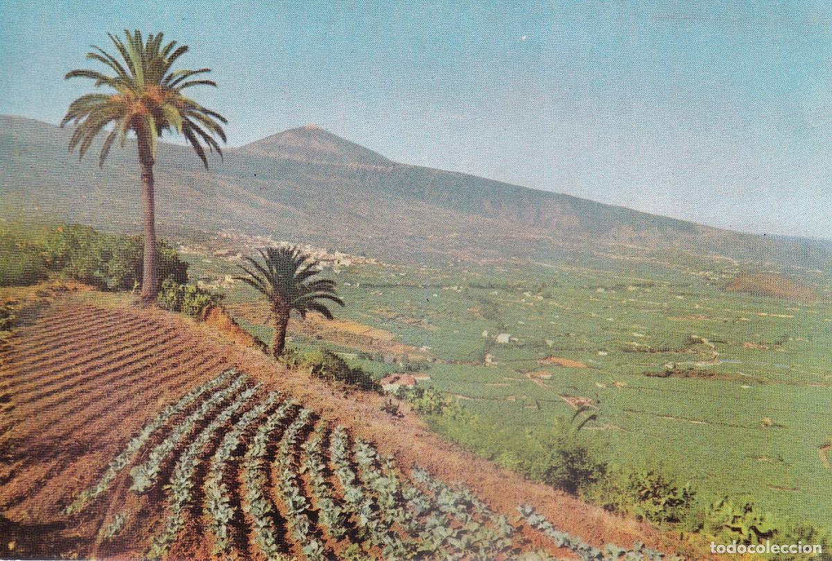 Postales: TENERIFE VALLE DE LA OROTAVA - Foto 1