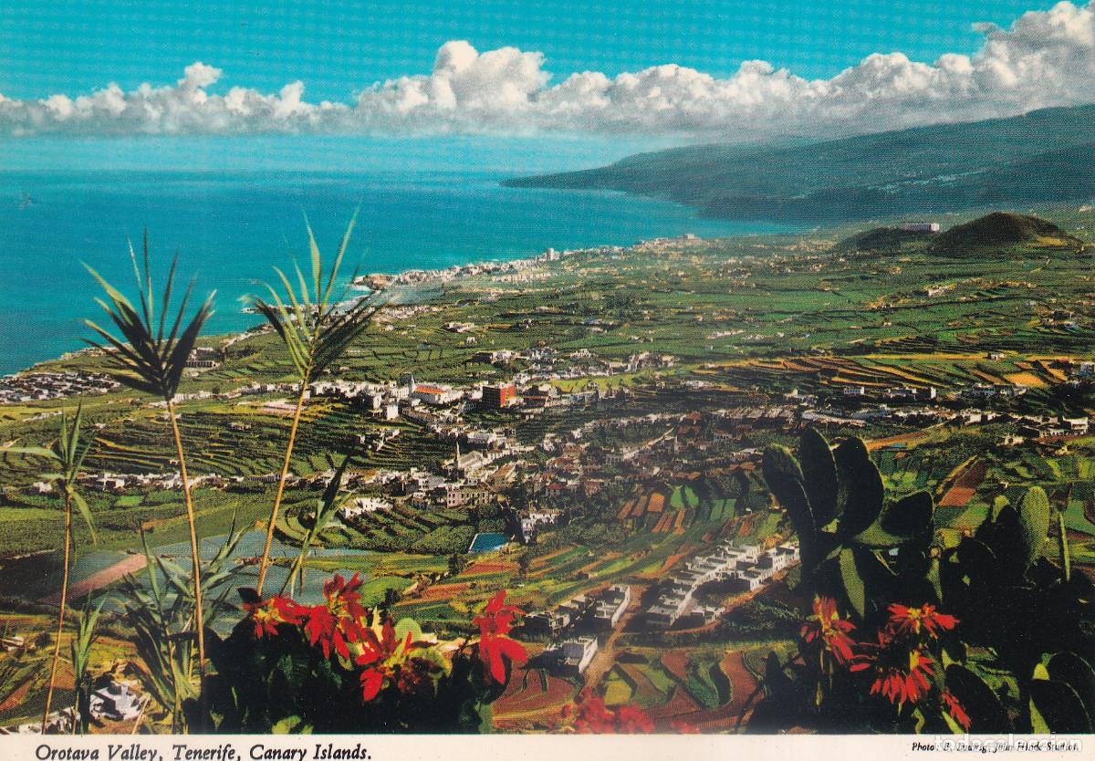 Postales: TENERIFE VALLE DE LA OROTAVA - Foto 1