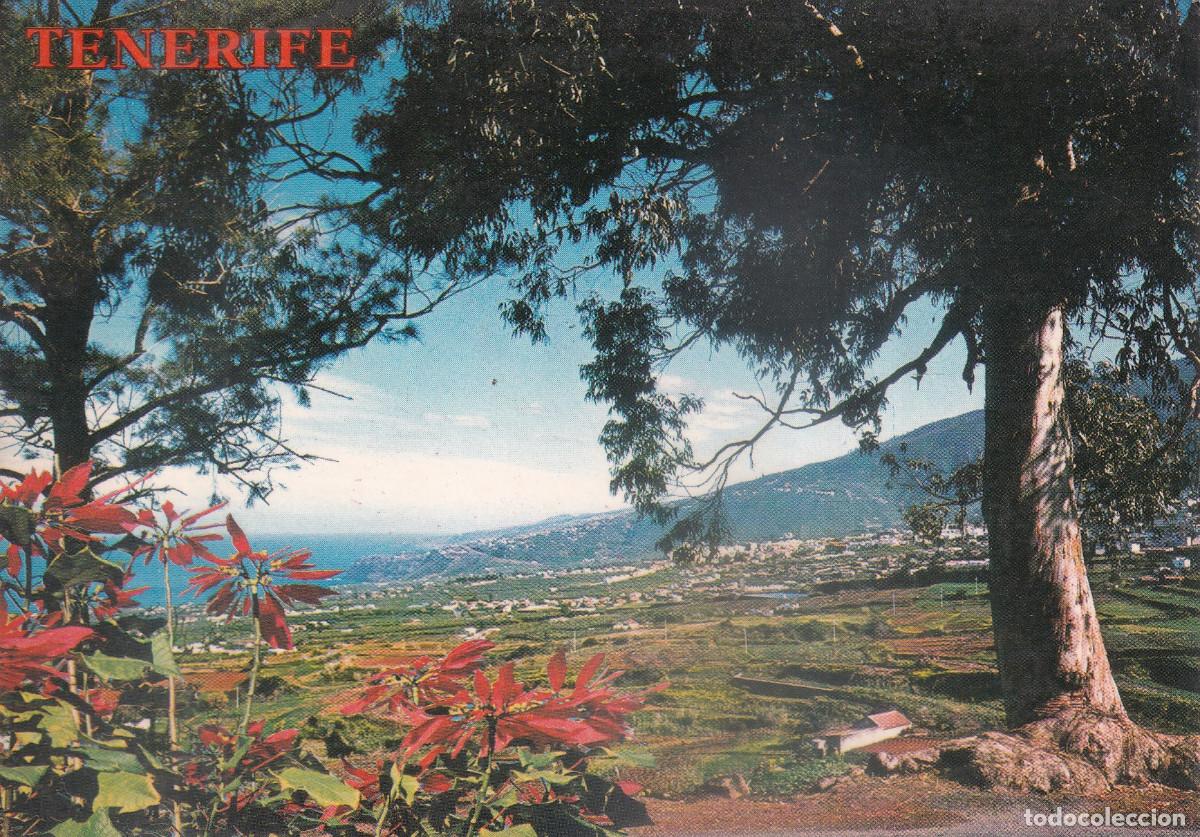 Postales: TENERIFE VALLE DE LA OROTAVA - Foto 1