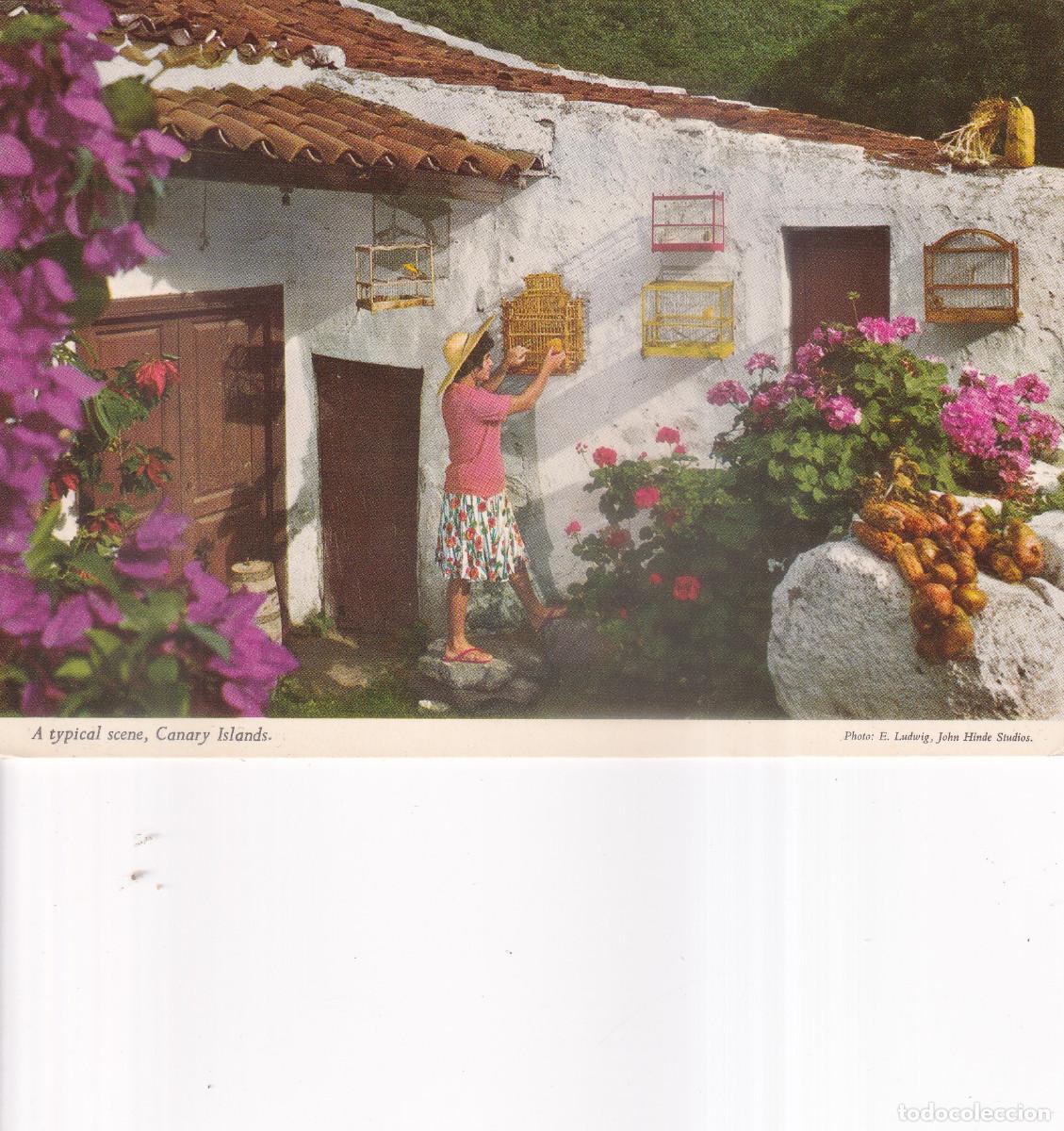 Postales: CANARIAS CASA TIPICA - Foto 1