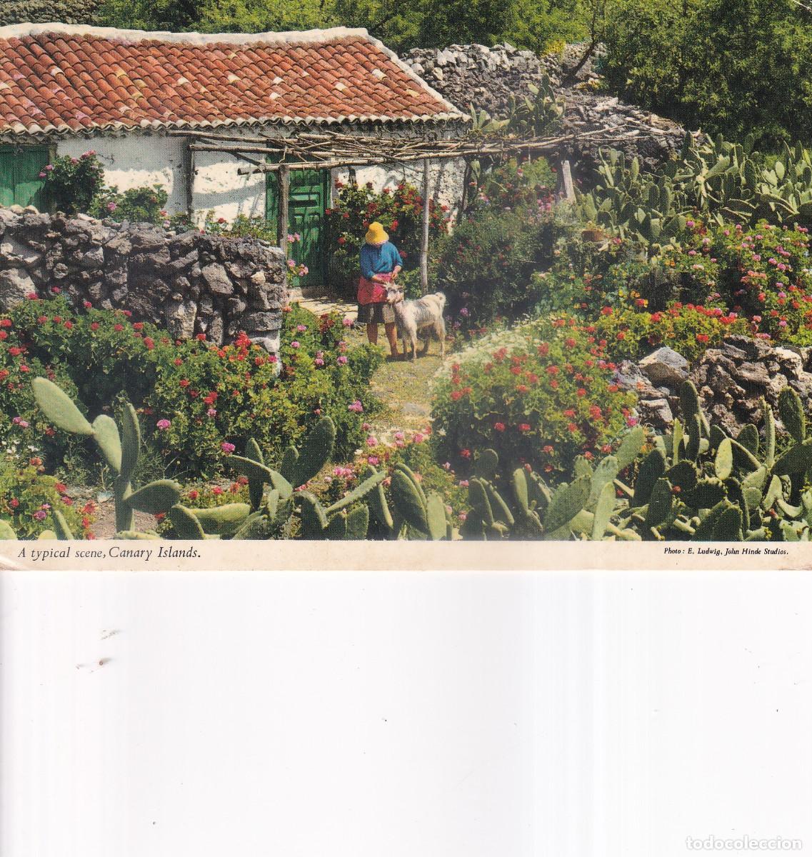 Postales: CANARIAS CASA TIPICA - Foto 1
