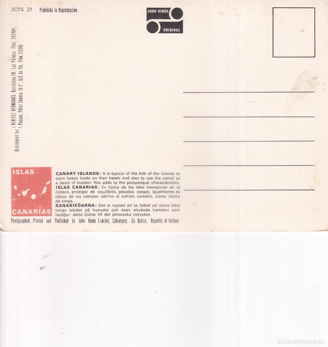 Postales: CANARIAS CAMELLOS DE TRANSPORTE - Foto 2