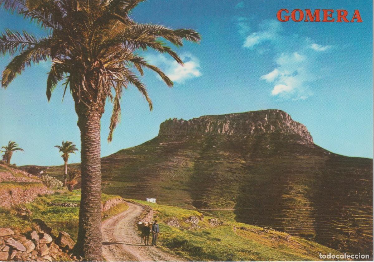 Postales: (4341) GOMERA. CHIPUDE. LA DEHESA ... SIN CIRCULAR - Foto 1
