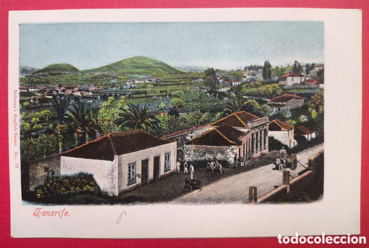 Postales: MATANZA POSTAL TENERIFE C. 1910 - Foto 1