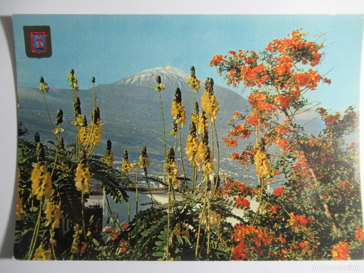 Postales: Tenerife - El Teide. - Foto 1