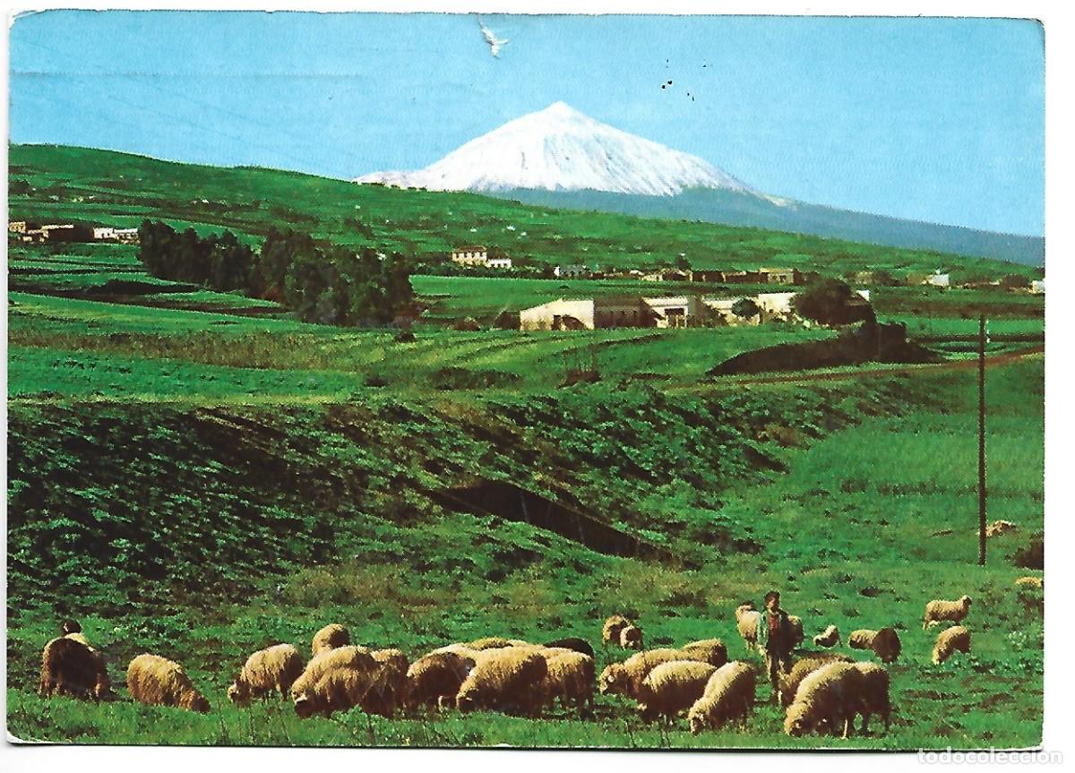 Postales: PPAISAJE / LANDSCAPE.- TENERIFE - Foto 1