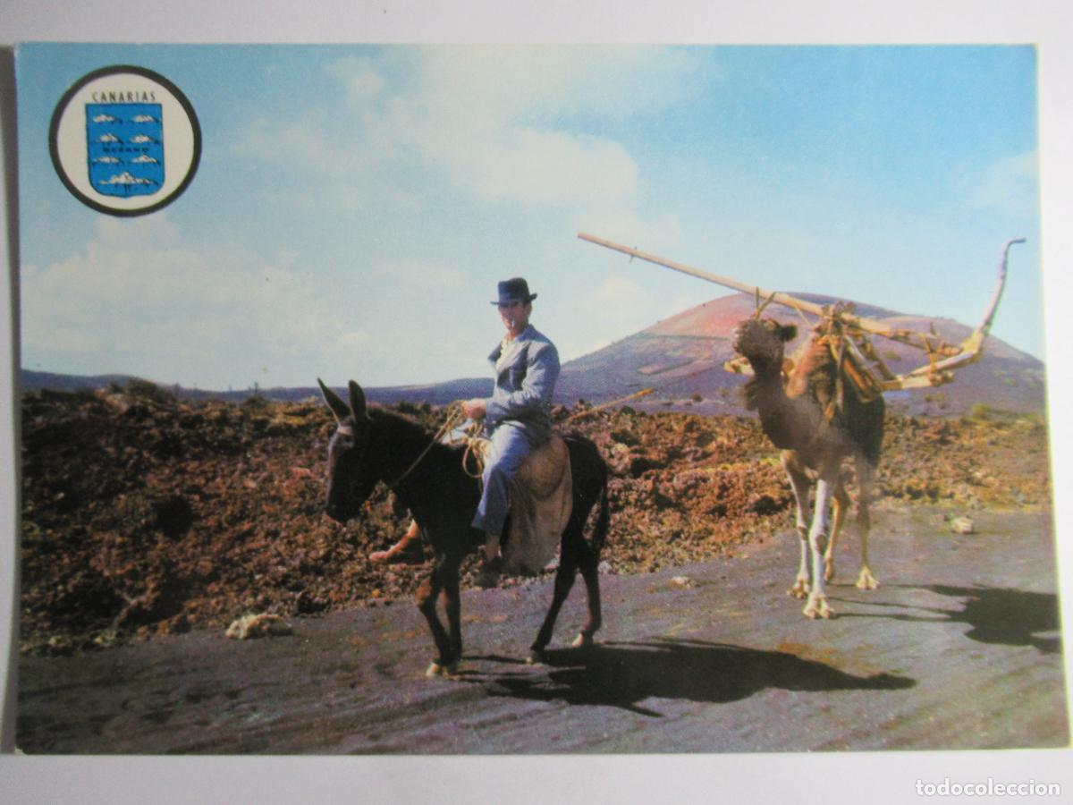 Postales: Canaria T&iacute;pica - S/C - Foto 1