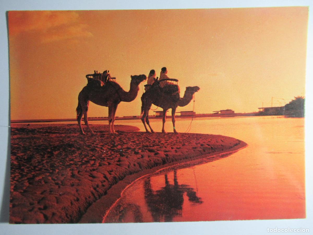 Postales: Gran Canaria - Atardecer en Maspalomas - Foto 1