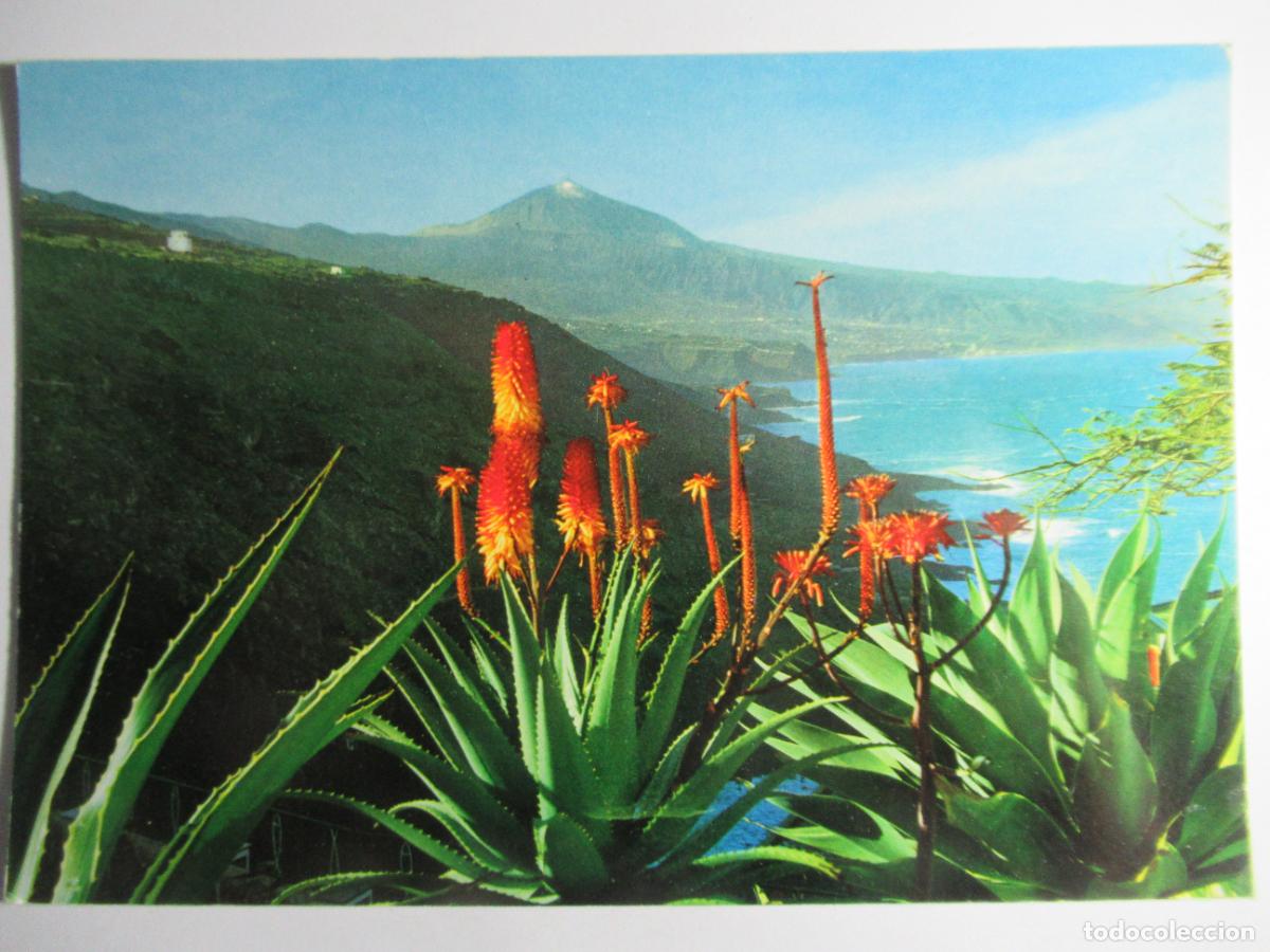 Postales: Tenerife - Flores y Teide - Foto 1