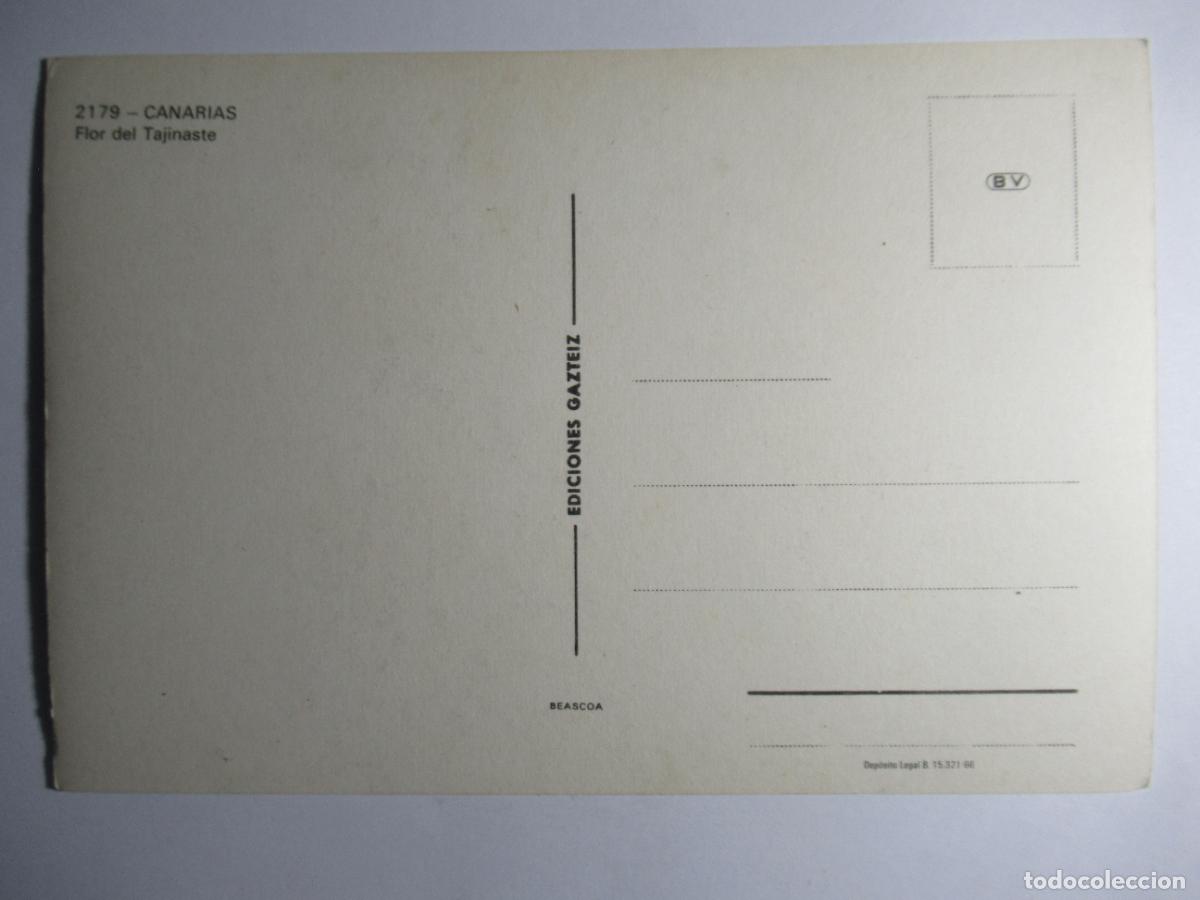 Postales: Canarias - Flor de Tajinaste - Foto 2