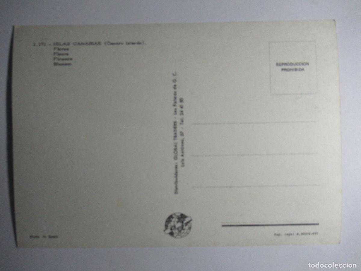 Postales: Flores de las Islas Canarias - Foto 2