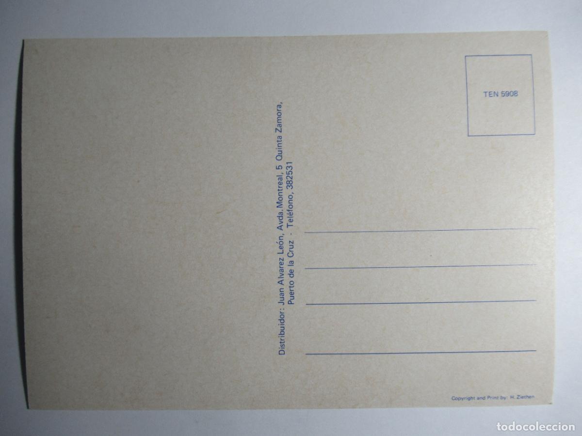 Postales: Tenerife - Diversos aspectos - Foto 2