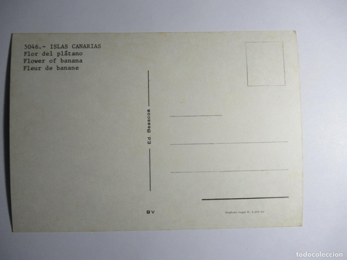 Postales: Islas Canarias - Flor del Pl&aacute;tano - Foto 2