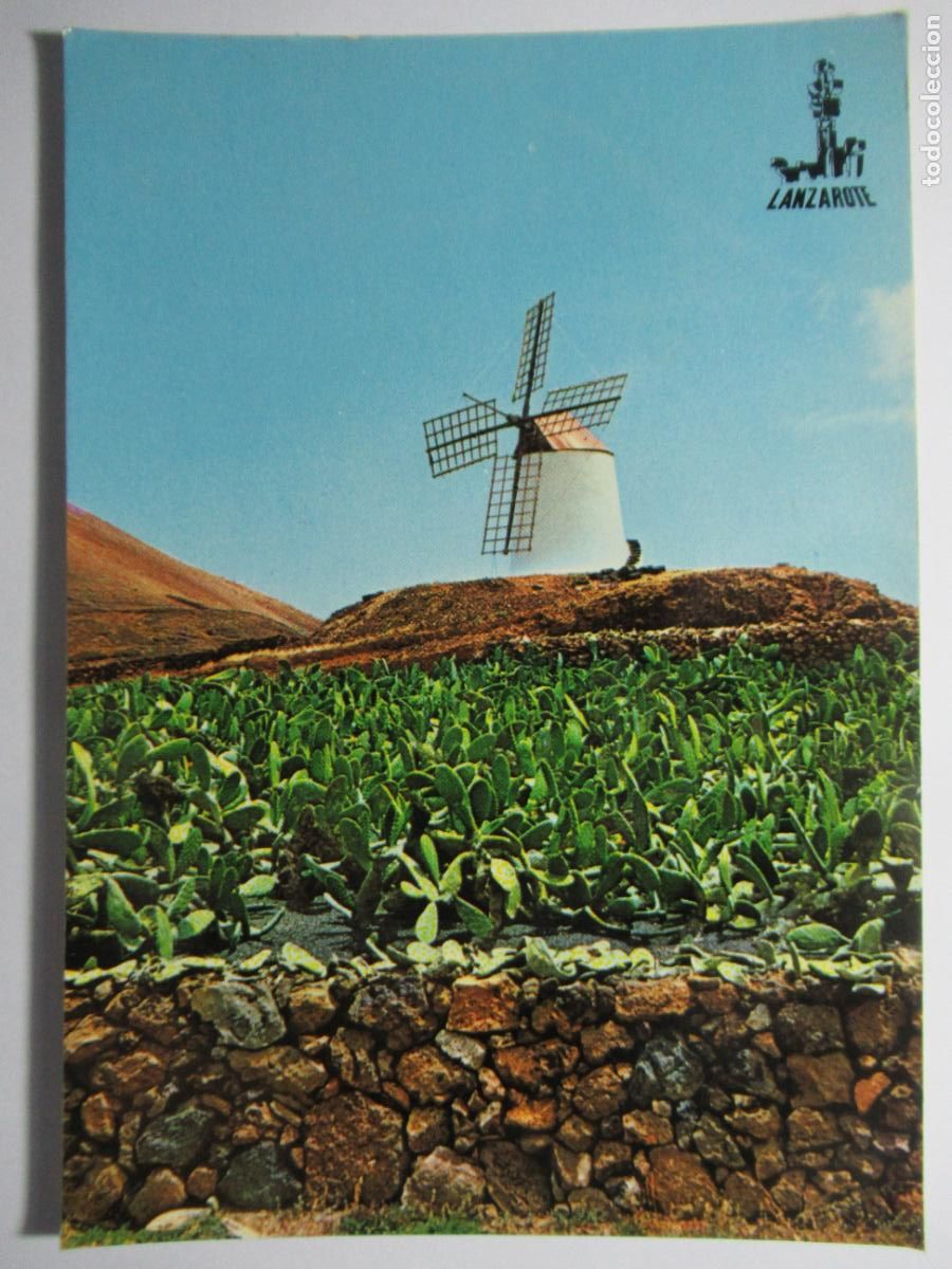 Postales: Lanzarote - Molino de Guatice - Foto 1