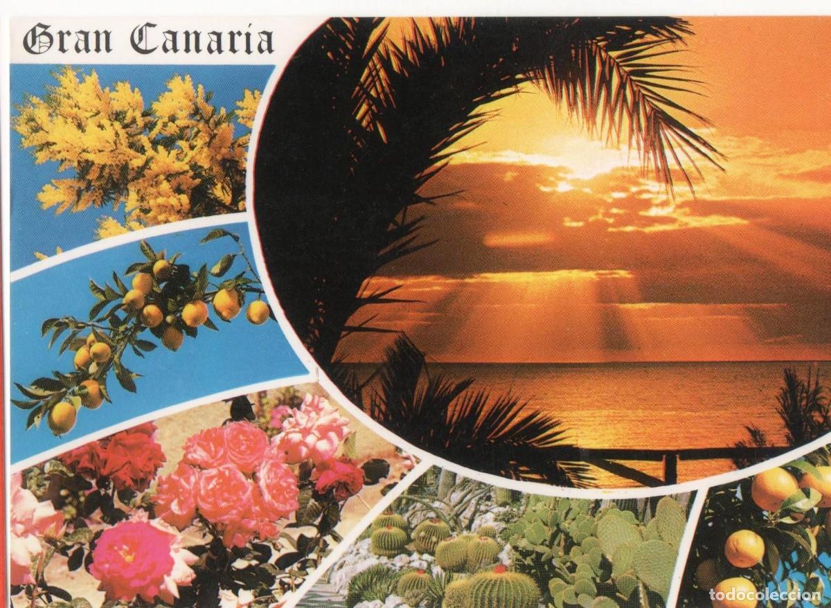 Postales: Gran Canaria--sin circular- - Foto 1