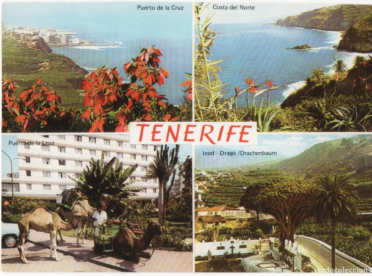 Postales: Tenerife-sin circular- - Foto 1