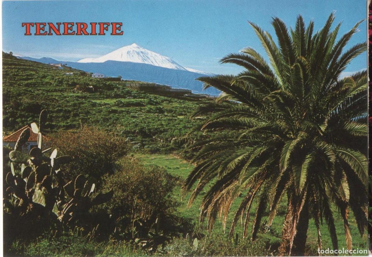 Postales: Tenerife-El Teide-circulada- - Foto 1