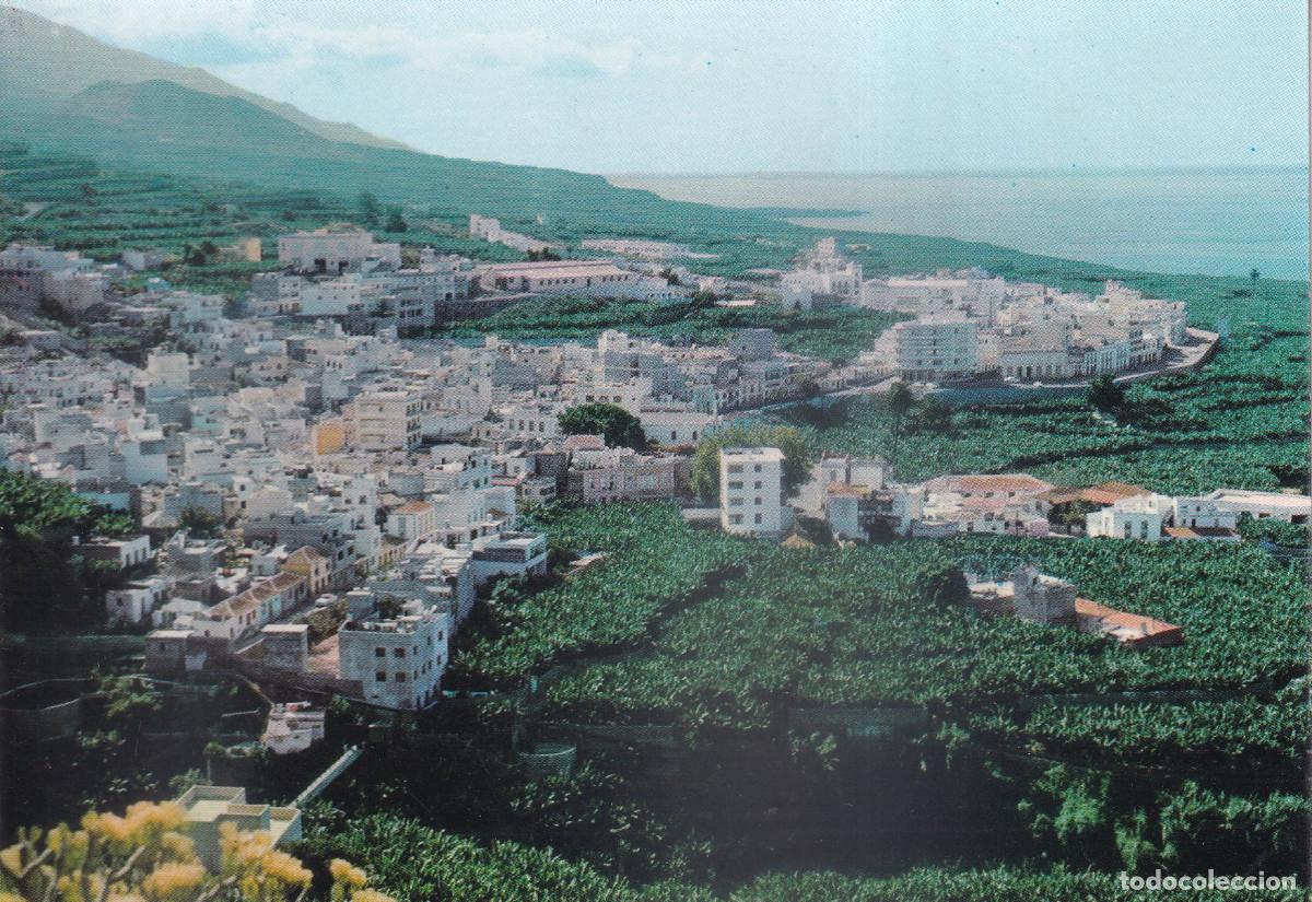 Postales: CANARIAS ISLA DE LA PALMA TAZACORTE - Foto 1