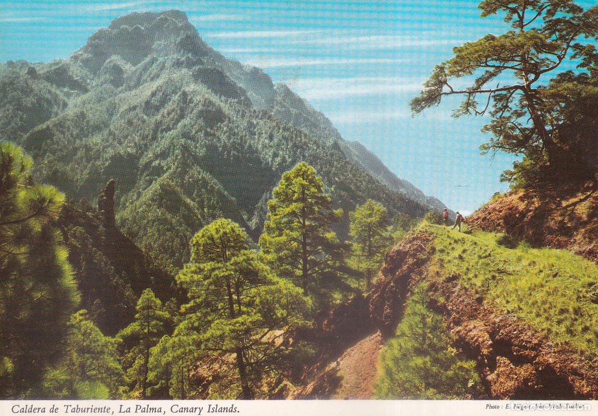 Postales: CANARIAS ISLA DE LA PALMA CALDERA DE TABURIENTE - Foto 1