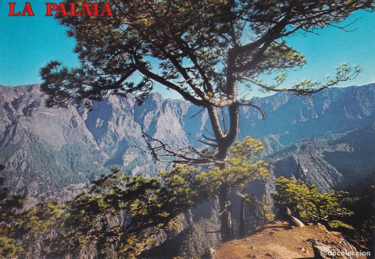 Postales: CANARIAS ISLA DE LA PALMA CALDERA DE TABURIENTE - Foto 1