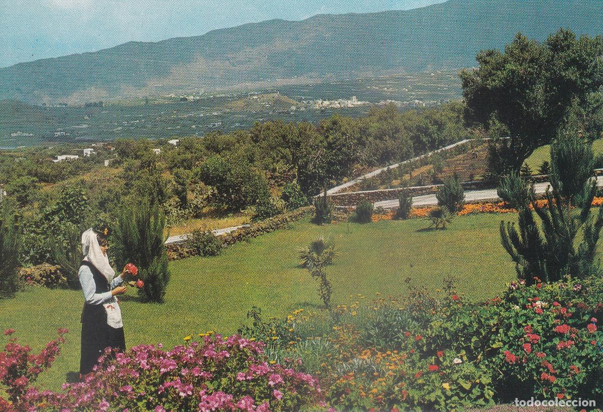 Postales: CANARIAS ISLA DE LA PALMA EL PASO - Foto 1