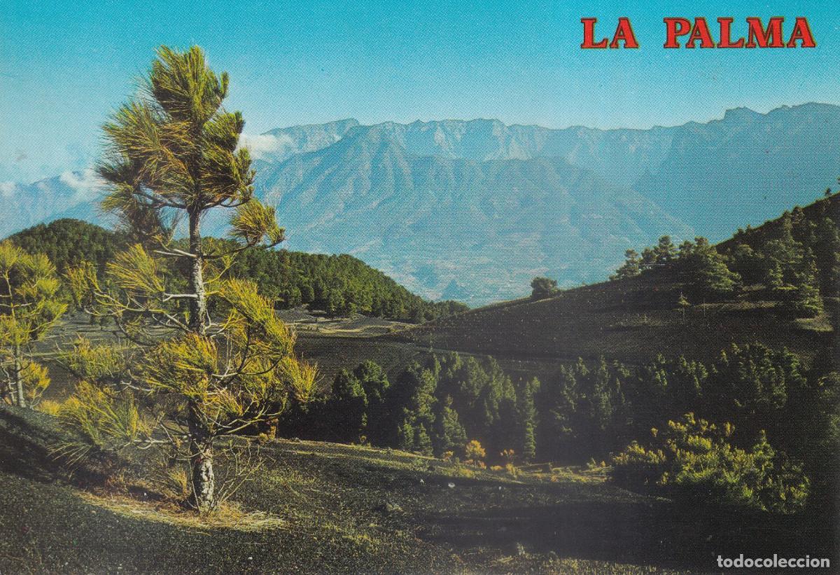 Postales: CANARIAS ISLA DE LA PALMA EL PASO - Foto 1