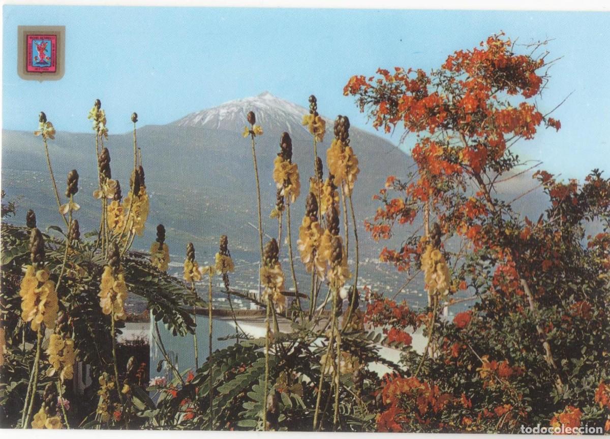 Postales: Tenerife-Flores y Teide--sin circular- - Foto 1