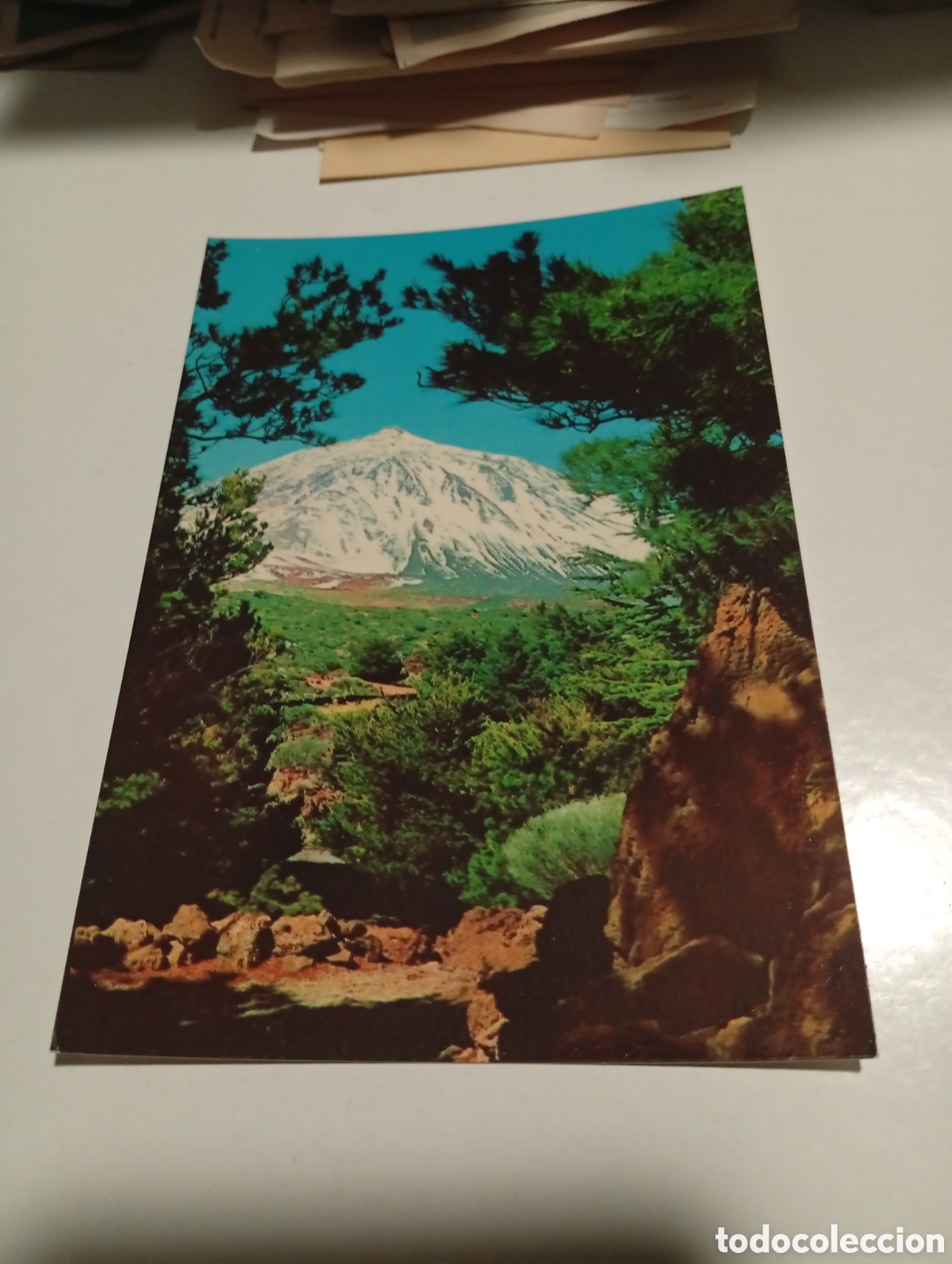 Postales: Postal Tenerife........ - Foto 1