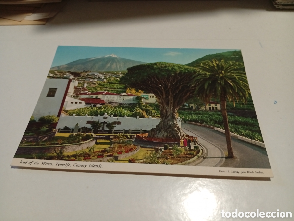 Postales: Postal Tenerife............ - Foto 1