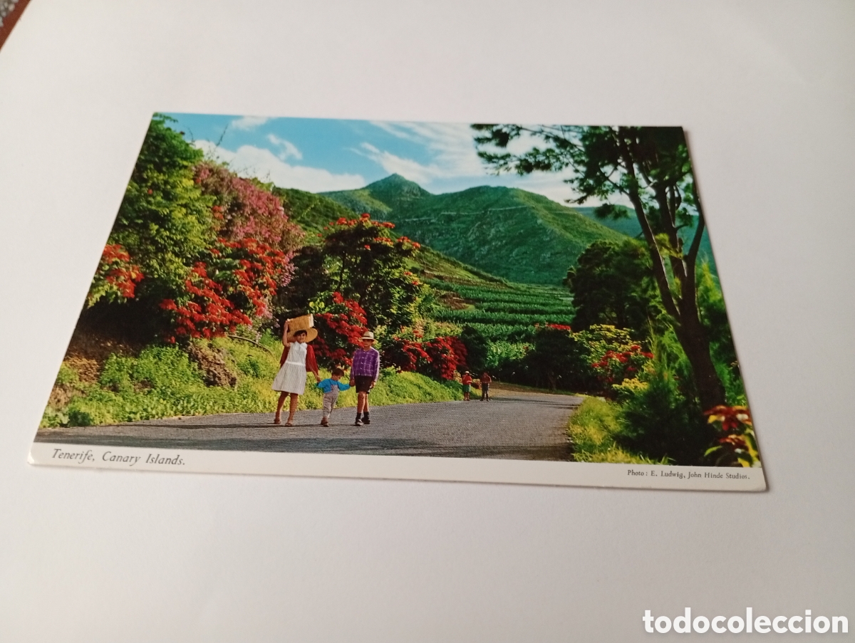 Postales: Postal Tenerife, Islas Canarias - Foto 1