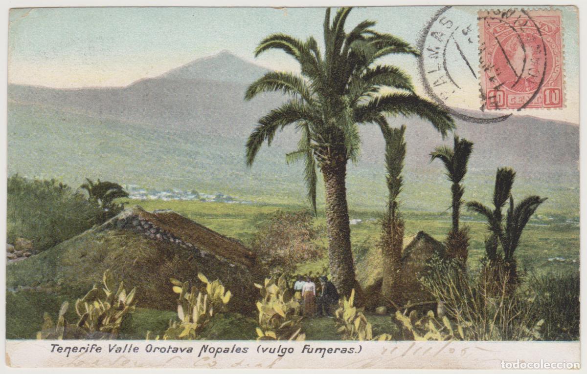 Postales: TARJETA POSTAL - TENERIFE - VALLE OROTAVA - NOPALES (vulgo Fumeras)