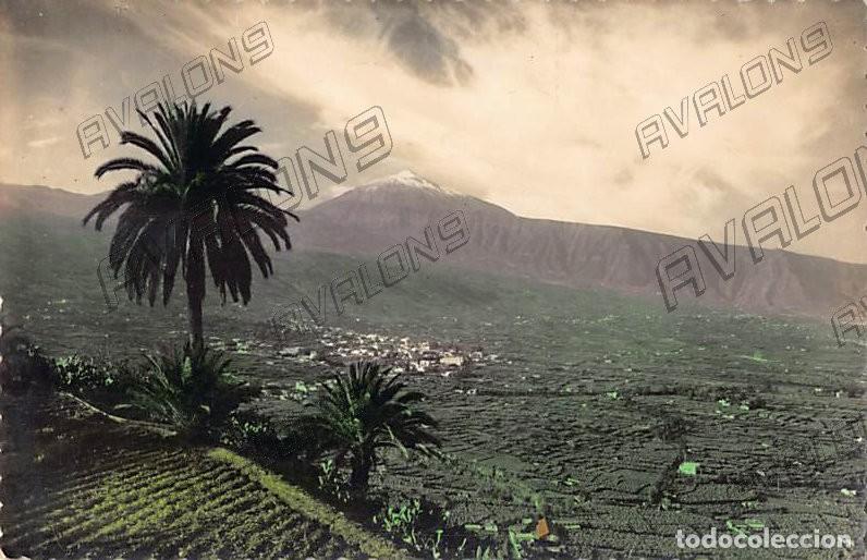 Postales: Valle de la Orotava en Sta. Cruz de Tenerife, a&ntilde;os 50, sin circular