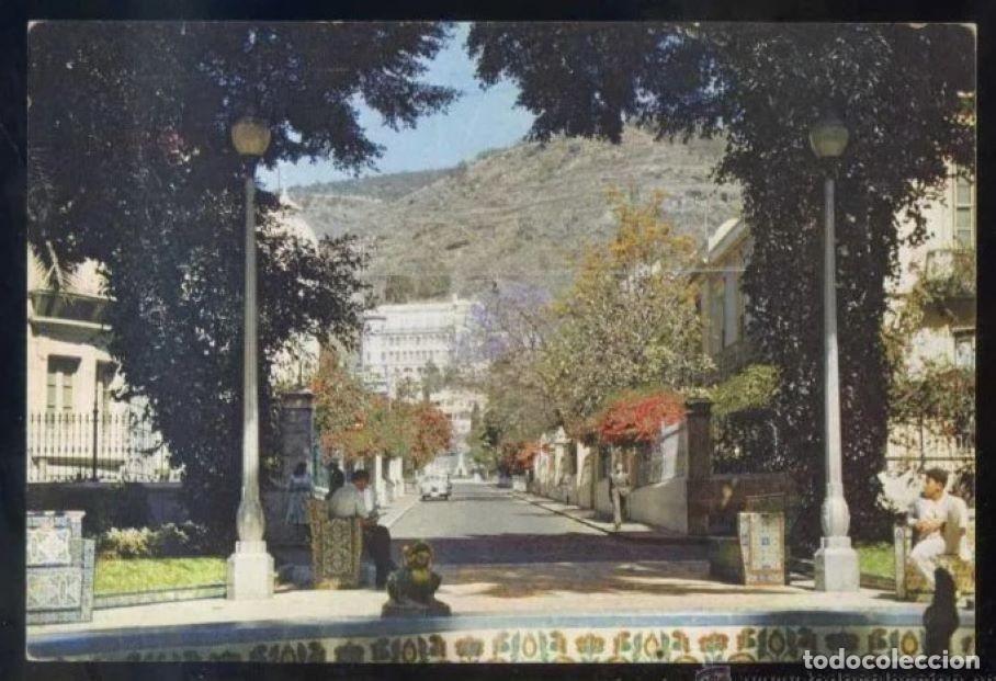 Postales: Santa Cruz de Tenerife. *Calle* Ed. J. Arthur Dixon Ltd. n&ordm; CAN-1234. Circulada 1964.