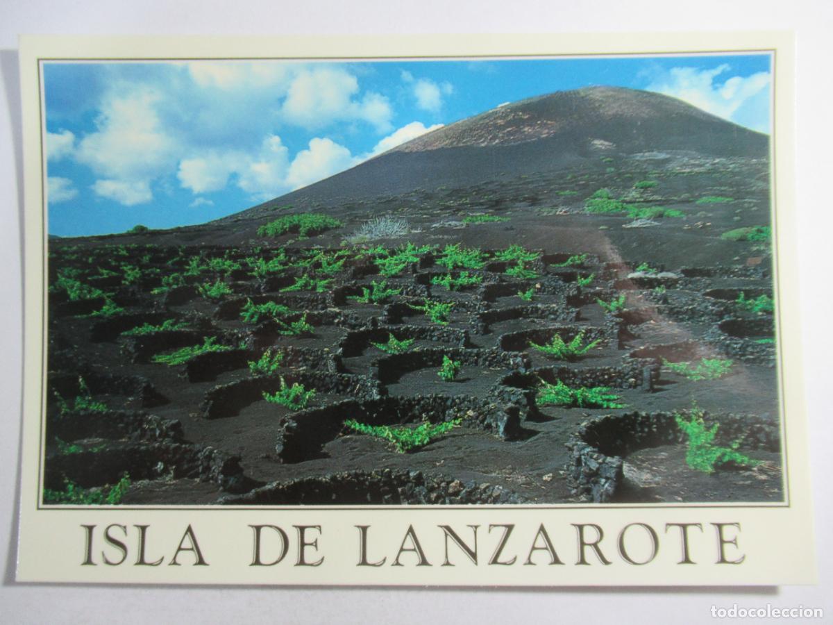 Postales: Isla de Lanzarote - La Geria - S/C - Foto 1