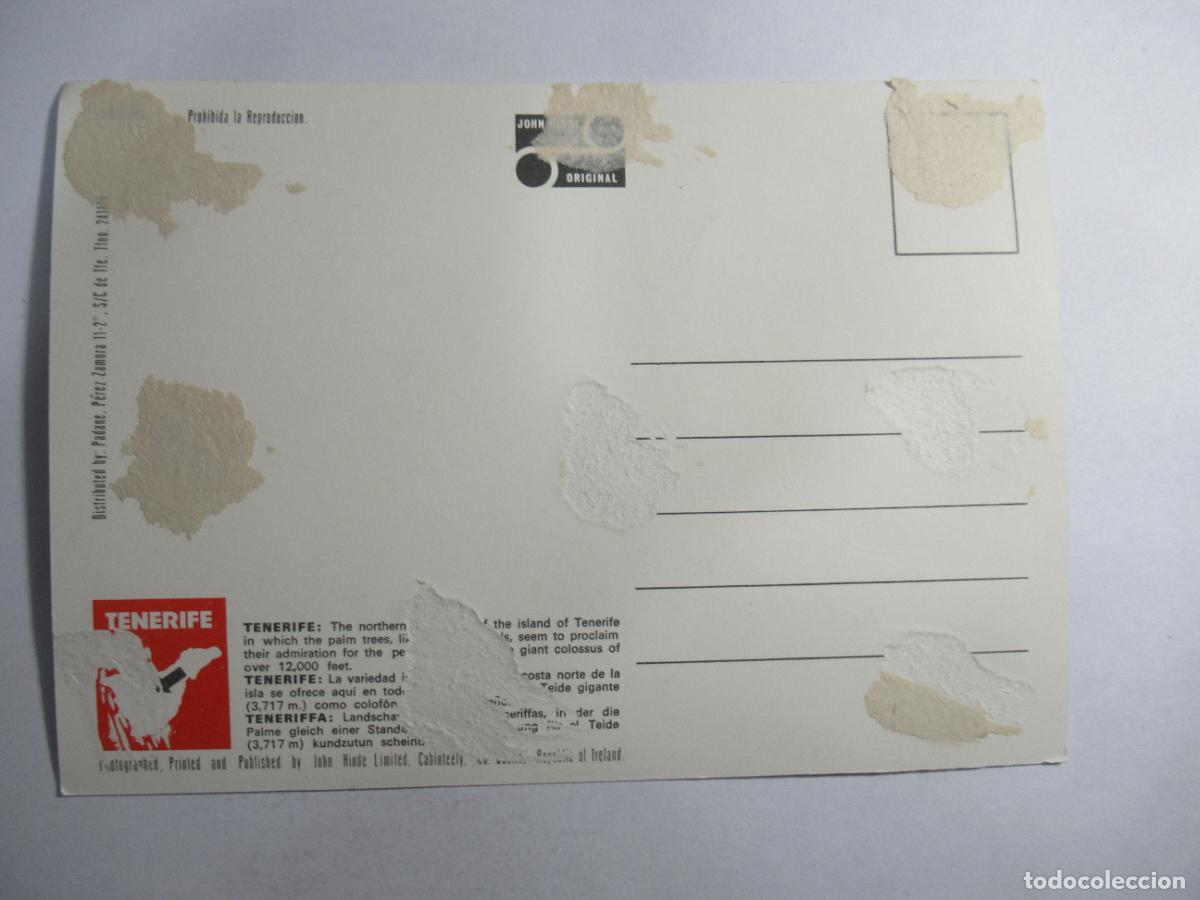 Postales: Tenerife - Islas Canarias - S/C - Foto 2