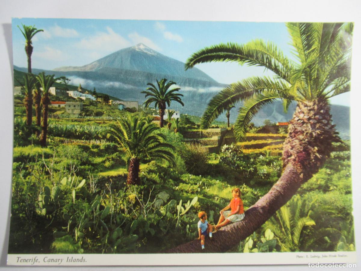 Postales: Tenerife - Islas Canarias - S/C - Foto 1