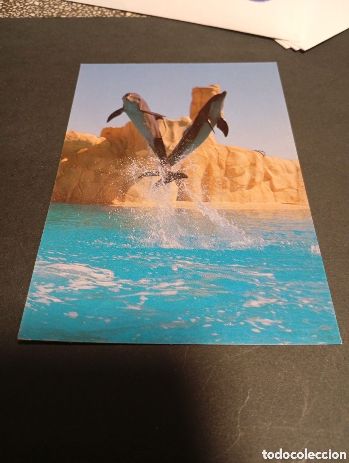 Postales: Postal loro parque delfines - Foto 1